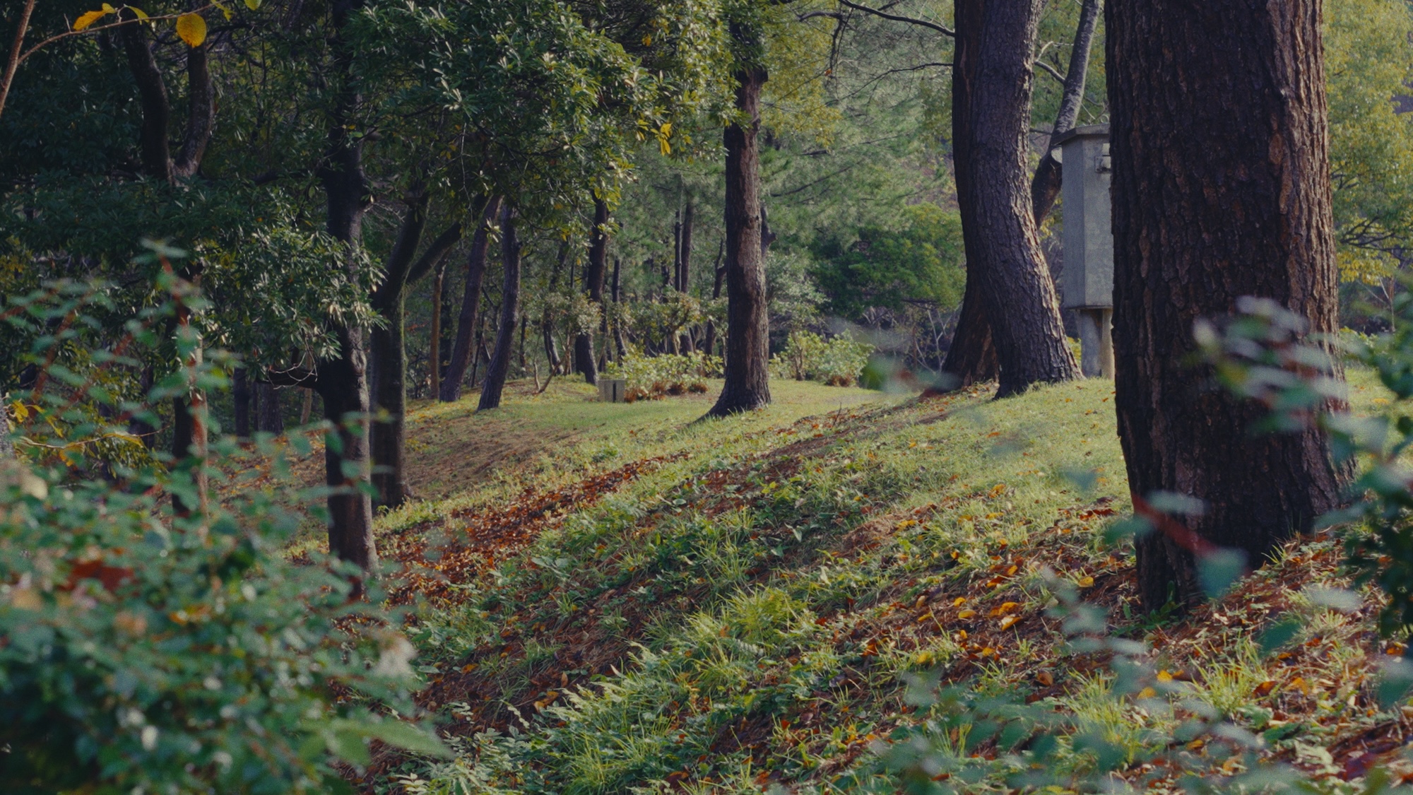 Nature